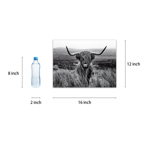 Arte de Parede Vaca Highland Preto e Branco Decoração Canvas 12x16 Polegadas 2