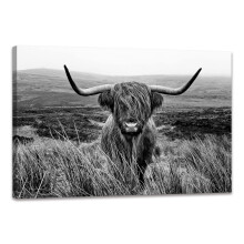 Arte de Parede Vaca Highland Preto e Branco Decoração Canvas 12x16 Polegadas