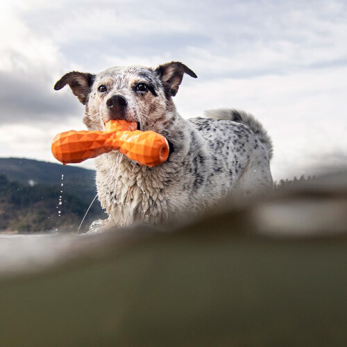 Hound2O Ho 2