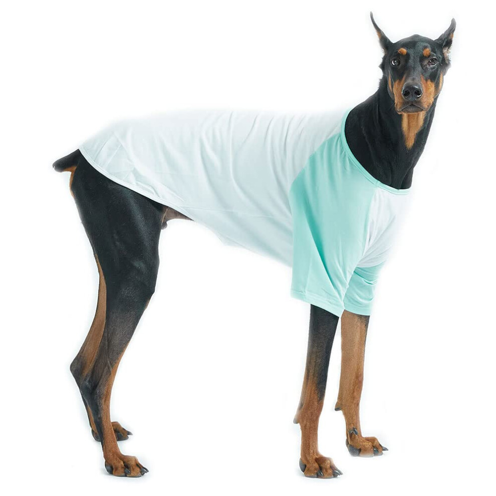 Lucky Petter T-shirt en coton pour petits et grands chiens, raglan, doux et respirant (4XL, blanc/menthe)