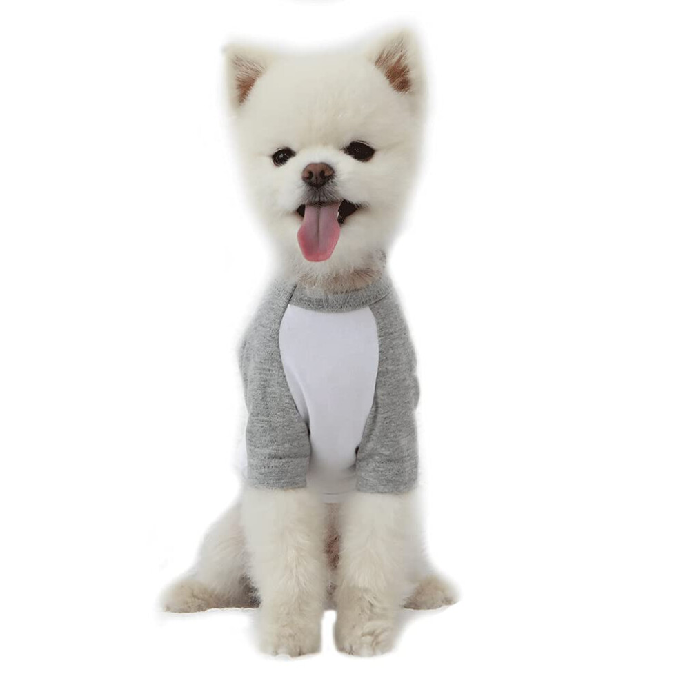 Lucky Petter T-shirt en coton pour petits et grands chiens, raglan, doux et respirant (blanc/gris moyen)