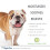 Posh Paws MAGIC COAT HYPO-ALLERGENE SHAMPOO 2