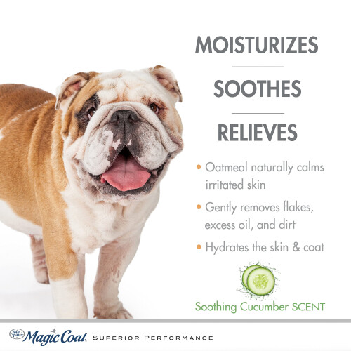 Posh Paws MAGIC COAT HYPO-ALLERGENE SHAMPOO 1