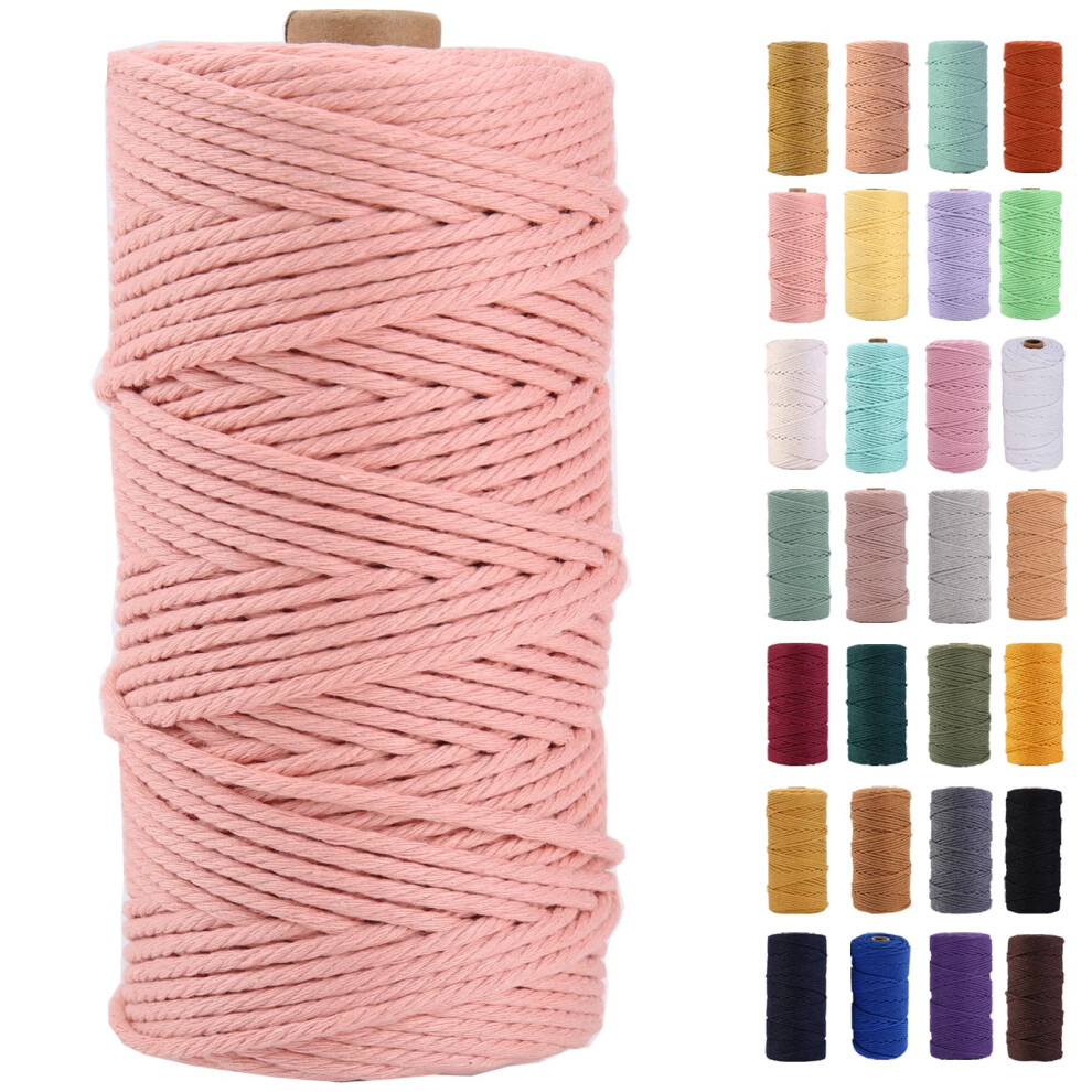 MAOQIAN Vleesroze Macrame Touw 3mm x 109Yards, Kleurrijke Katoenen Touw voor Wanddecoratie