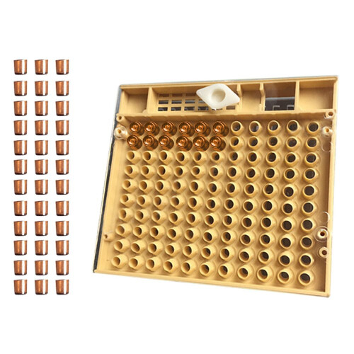 Beekeeping Tools Equipment Set Queen Rearing System Cultivating Box 110pcs Plastic Bee Cell Cups Cup kit Cage 2
