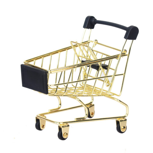 Mini Chariot de Course 1