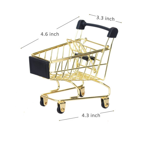 Mini Chariot de Course 2