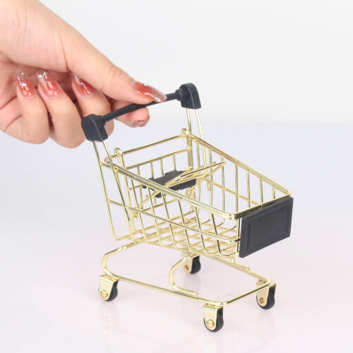 Mini Chariot de Course