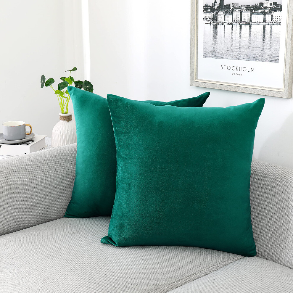 NiNi ALL Housses de coussin d   coratives en velours doux pour canap   , chambre     coucher, salon, ext   rieur, lot de 2, 50 x 50 cm, bleu sarcelle