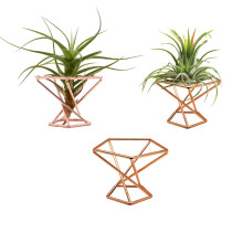 NWSRAYU Gomtrique Air Plant Solder Avions Rack Plantes Metal Planter tagres Planter Himmeli Living Decor Tillandsia Pot Contators (Rose Gold 3PCS)