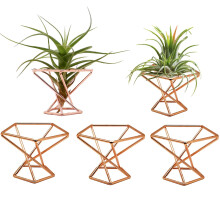 NWSRAYU Gomtric Air Plant Solder Avion Plants mtalliques Planter tagres Planteur Himmeli Living Decor Tillandsia Pot Caitneurs (Rose Gold 5PCS)