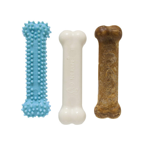 Nylabone Nylabone P