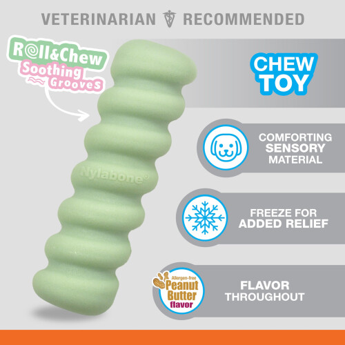 Nylabone Nylabone S 1