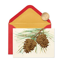 Papyrus-Weihnachtskarten, verpackt mit Umschlgen, Wunderbares Jahr fr das kommende Jahr, Tannenzapfen (14 Stck)