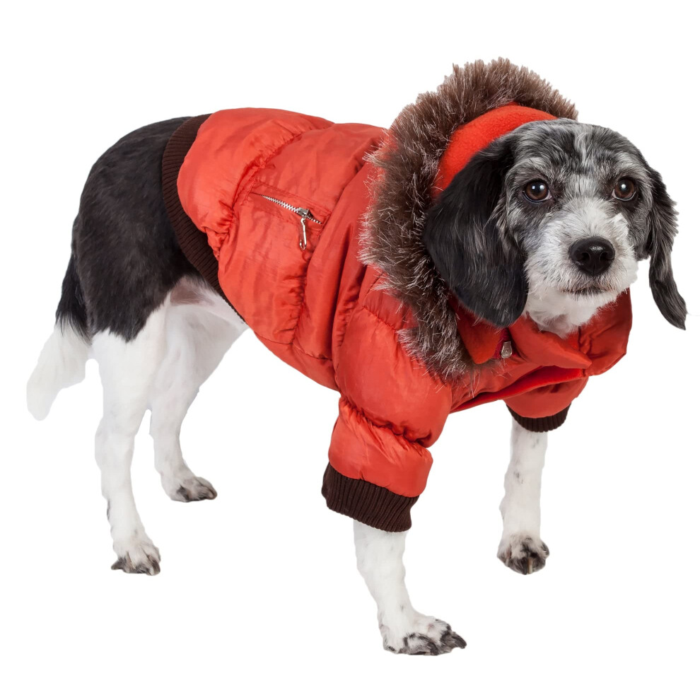 Photos - Dog Clothing Pet Life A Metallic Fashion Pet Parka coat DPF00022