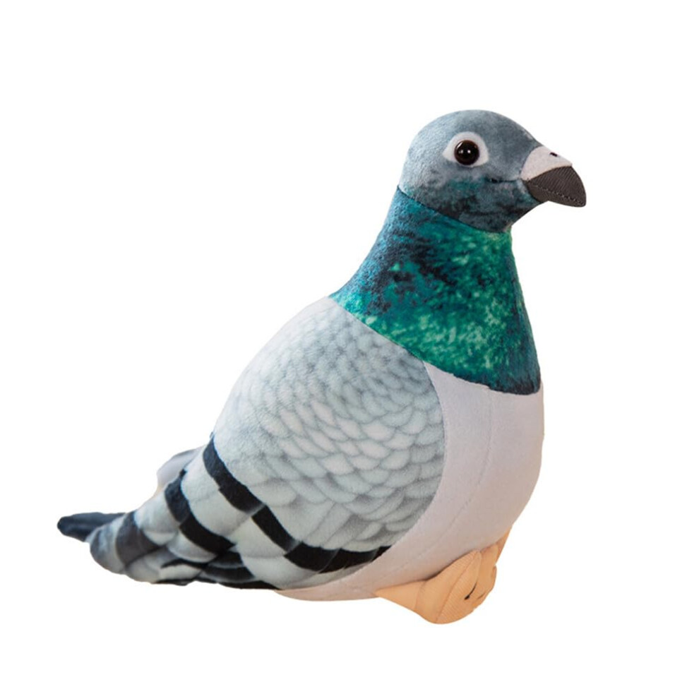 Pigeon en peluche - Simulation Rock Columba Rupestris Animal en peluche mignon Rock Pigeon en peluche comme cadeau pour vos amis Enfants Anniversaire