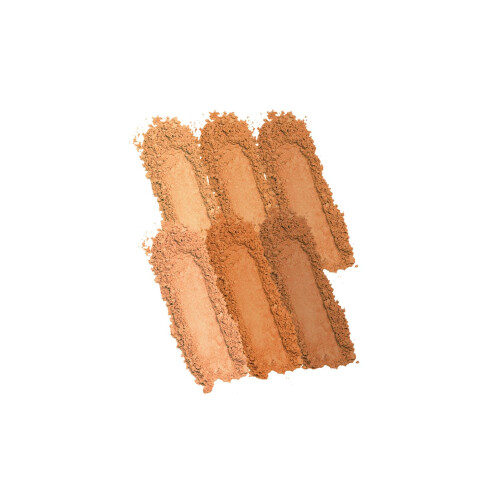 Profusion Cosmetics 6 Shade Bronzer Palette 2