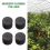40Pcs Garden Clone Collars Neoprene Inserts Sponge Block para 2 Inch Net Pots Hydroponics Systems e máquinas de clonagem 7