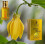 SCUS Parfumer Ylang Ylang 12 ML Koncentreret Duft 4