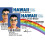Signs 4 Fun NMLID McLovin Id License's Driver's License (2) 1