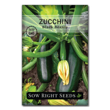 Zaai de juiste zaden - Zwarte schoonheid courgette zaden om te planten - Non-GMO erfgoedpakket met instructies voor het aanleggen van een moestuin - Z