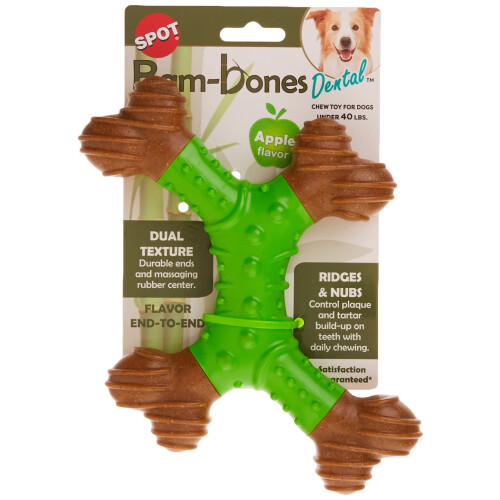 Spot Bam-Bones Dental 1