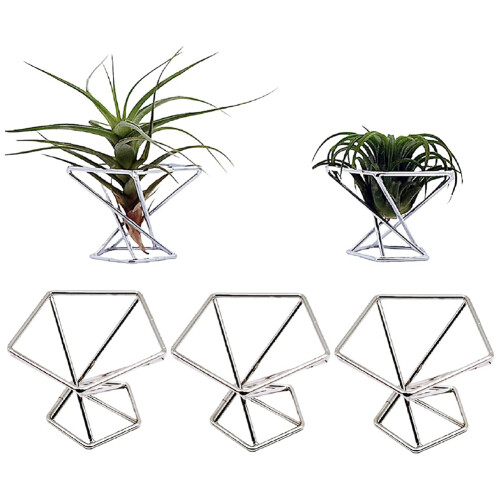 Tillandsia Lot de 6 supports de plantes aériennes en acier inoxydable, mini cactus, décoration de maison et de bureau, or rose