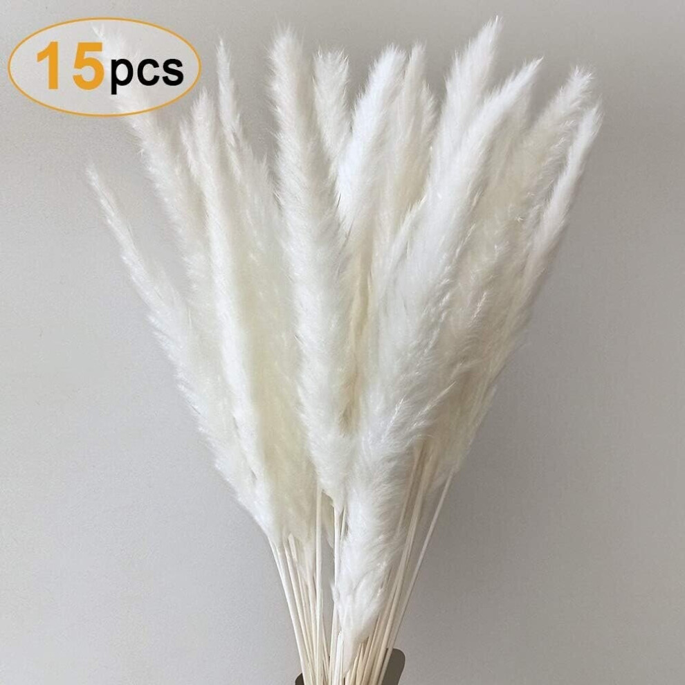 Pampasgras, Natural Pampasgras Getrocknet Deco Pampas Gras Communis Dry Flowers Flower Bouquet for Living Room Home Photography Hotel Wedding 55cm