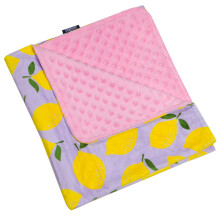 Wildkin Plsch-Babydecke fr Kleinkinder, Jungen und Mdchen, Mae: 99,5 x 71,1 x 1,3 cm, perfekte Gre fr die Kindertagessttte und ideal fr Reis