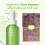 Green Tomato Deep Pore Double Cleansing Ampoule Oil 4