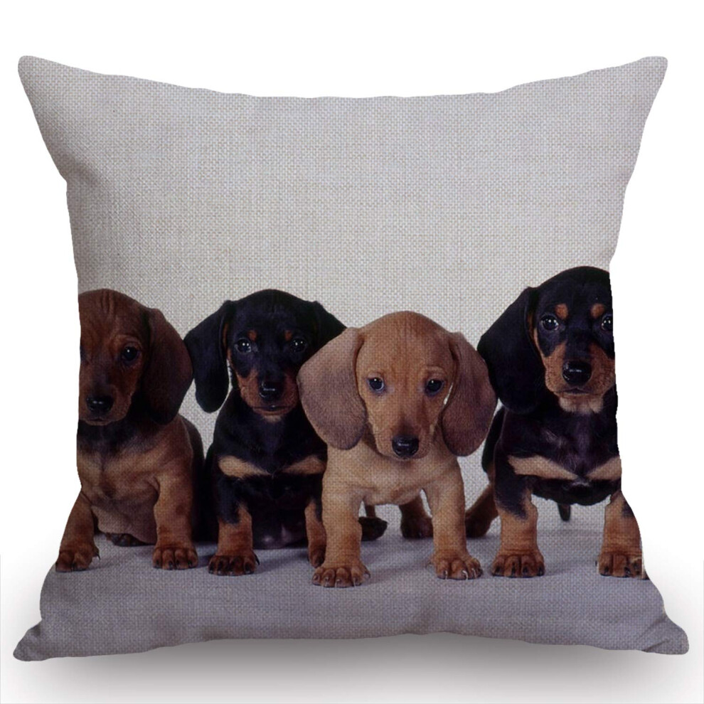 Housse de coussin carr   e en coton et lin avec motif teckel pour homme et femme, d   coration d'int   rieur, canap   , fauteuil, chambre     coucher