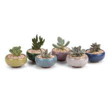 T4U 2,5 pouces Small Ceramic Succulent Planter Pot avec un ensemble de trou de drainage Ensemble de 6 glaces Glaze Glaze en porcelaine Gift Conta