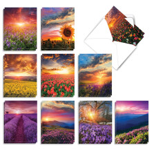 The Best Card Company - 20 biglietti di auguri con paesaggio e natura, vuoti (4 x 5,12 pollici) (10 disegni, 2 ciascuno) - Blooming Sunsets AM926