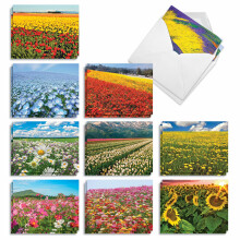 Det bedste kortfirma - 20 Landscape Nature Note Cards Blank (4 x 5,12 tommer) (10 design 2 hver) - Superblomster AM7175OCB -B2X10