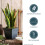 Vasos Quadrados Eclipse de 20 cm com Prato - Vasos para Plantas de Interior e Exterior (Pack de 4) 3