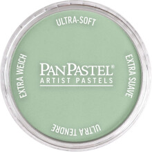 PanPastel Artist Pastels van GOLDEN Chroomoxide Groene Tint 2,44 / 62mm Pan Diameter Professionele Artist Pastels Uniek Panformaat (cake-achtig)