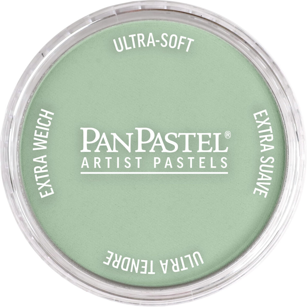 PanPastel Artist Pastels by GOLDEN  Chromium Oxide Green Tint  2.44  / 62mm Pan Diameter  Professional Artist Pastels  Unique Pan Format (cake-like)-image-OPC-PGBZFQV-NEW