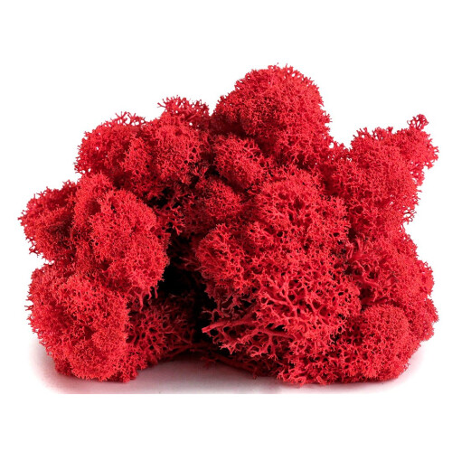 SuperMoss (23149) ??????? ??at??????? ???? ?a???d?? 8oz 2