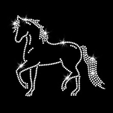 Strijkapplicatie met steigerend paard en Western Rodeo-kristallen T-shirt van JCS Rhinestones