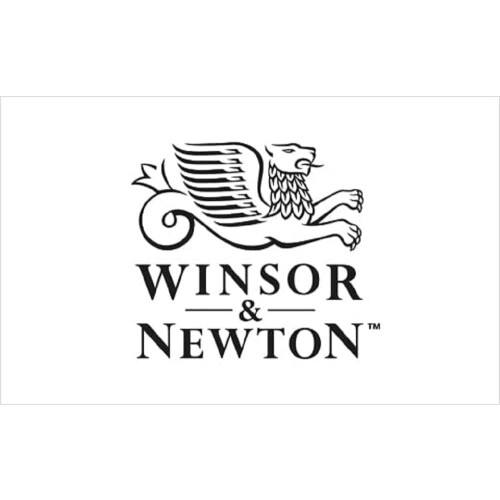 Winsor & Newton Professional Acrylic Medium Gloss Medium 250 ml (8,5 oz) 2