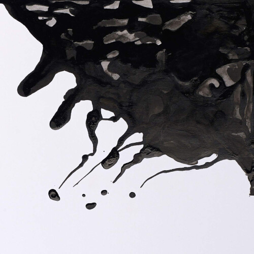 WN Drawing Ink 250 ml Nero JCFDI250 1