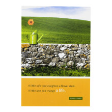 DaySpring - Max Lucado Bedankkaartjes met reli   f enveloppen - Gieter 6 stuks
