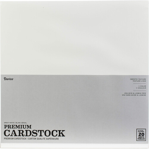 Darice GX-2200-18 Pacote de Papel Cartão, 20 Peças, 12x12 Polegadas, Branco
