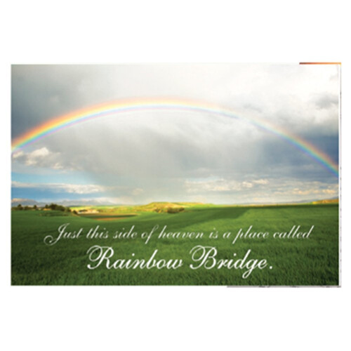 Dog Speak Rainbow Bridge Beileidskarte