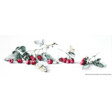 Lucas B2253 - KIT DA CUCITO - Luca-S L Kit per Punto Croce Contato Motivo Alcuni Lamponi 20 x 59 cm