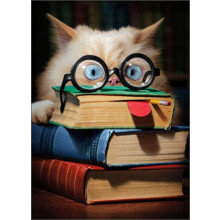 Book Face Cat Funny Graduation Card