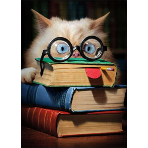 ?ste?a ???ta ap?f??t?s?? ?e ???a t? ?????? ""Cat Face""