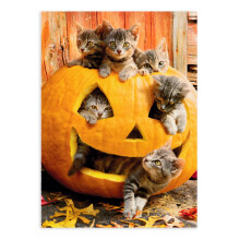 Gatitos en Jack O Lantern - Tarjeta de Halloween de Avanti Cat