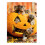 Gat???a ?e fa???? Jack O'Lantern - ???ta ??a t? Halloween ?e ??te? Avanti 1