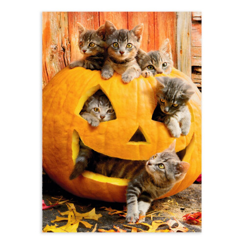 Gat???a ?e fa???? Jack O'Lantern - ???ta ??a t? Halloween ?e ??te? Avanti